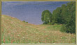 Sommerwiese -Ölbild
